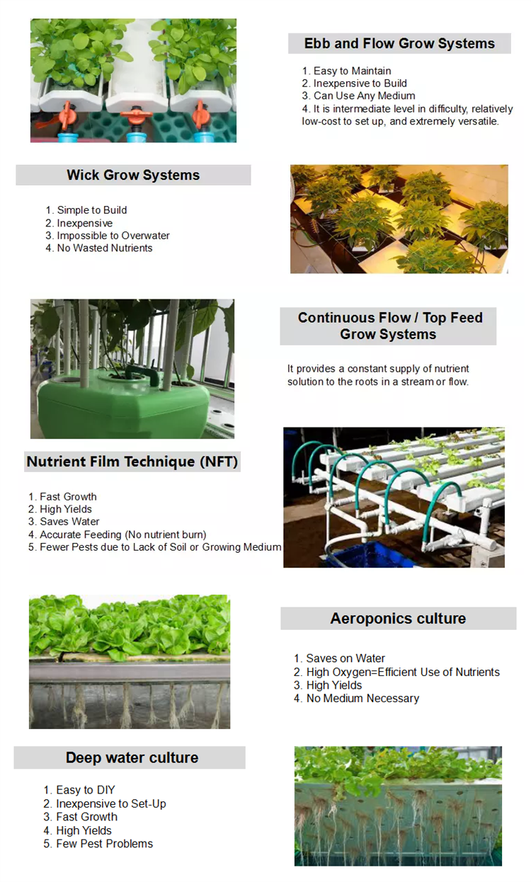 2. Greenhouse different style