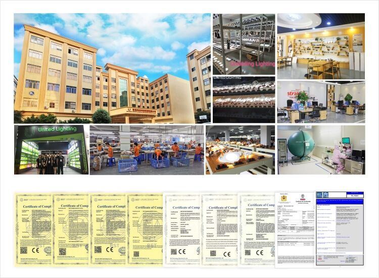 led light factory(001)