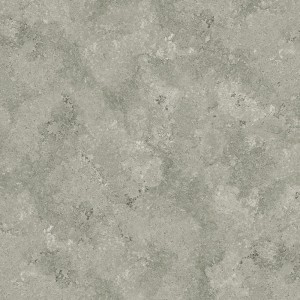 Stone Visual SPC Vinyl Tile