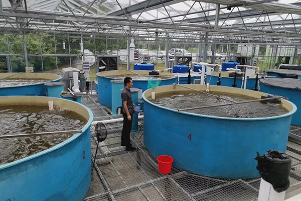 Aquaculture Sewage