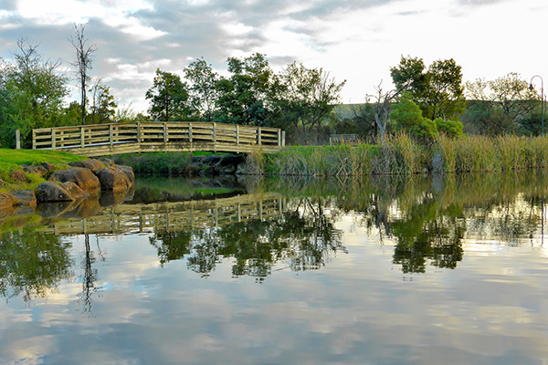 Artificial Wetland