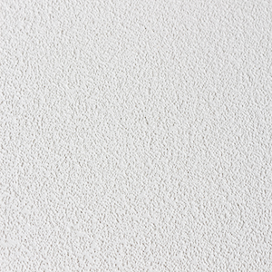 SAND FINISH CEILING