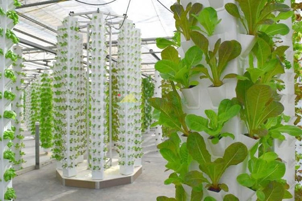 Vertical Farming