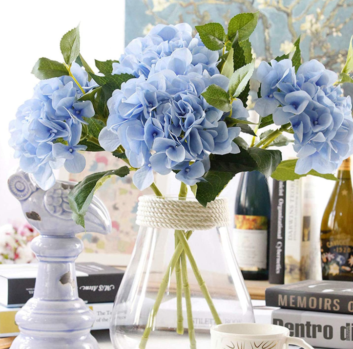 hydrangea blue