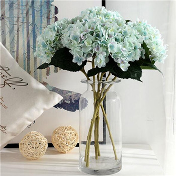 wedding hydrangea